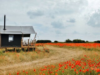 Chalet Burnham Overy Staithe Außenaufnahme 4
