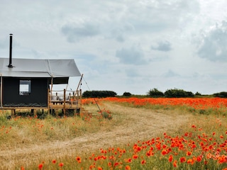 Chalet Burnham Overy Staithe Outdoor Recording 4
