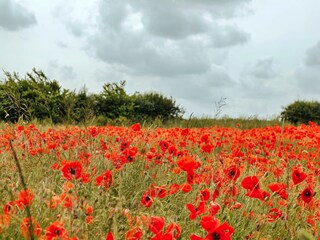 Chalet Burnham Overy Staithe Enregistrement extérieur 3