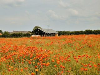 Chalet Burnham Overy Staithe Registrazione all'aperto 4