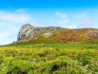 Cottage Newton Abbot Umgebung 31