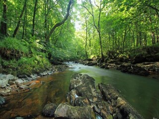 Holiday cottage Newton Abbot Environment 23