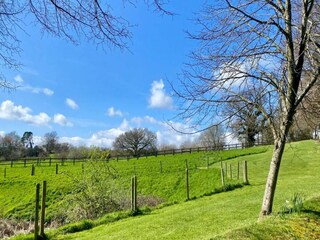 Vakantiehuisje Newton Abbot Omgeving 34