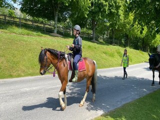 Casa vacanze Newton Abbot Ambiente 35