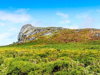 Casa vacanze Newton Abbot Ambiente 25