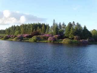 Casa de vacaciones Newton Abbot Entorno 29