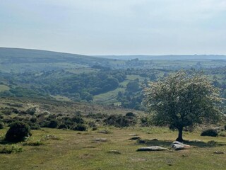 Holiday cottage Newton Abbot Environment 28