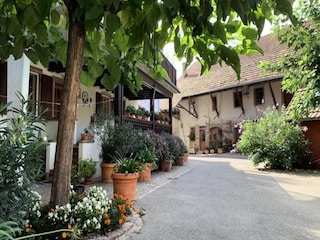 Apartment Mundolsheim  10