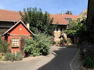 Apartment Mundolsheim  12