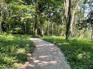 Vakantiehuisje Newton Abbot Omgeving 30