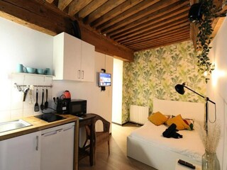 Apartment Lyon Features 9