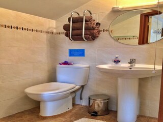 Casa vacanze Newton Abbot Caratteristiche 6