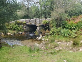 Cottage Newton Abbot Umgebung 32