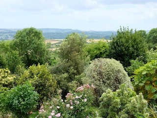 Cottage Newton Abbot Umgebung 21