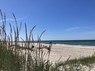 Frühlingssonnenschein am Ostseestrand