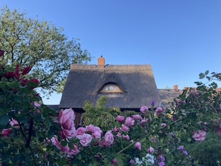 Sommer Urlaubsglück im Lütt Hus