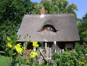 Ferienhaus Lütt Hus - Born - image1