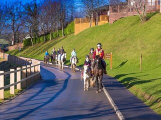 Vakantiehuisje Newton Abbot Omgeving 18