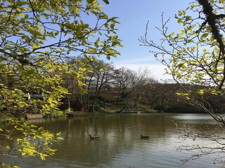 Vakantiehuisje Newton Abbot Omgeving 22