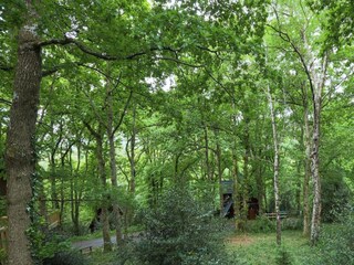 Vakantiehuisje Newton Abbot Omgeving 27