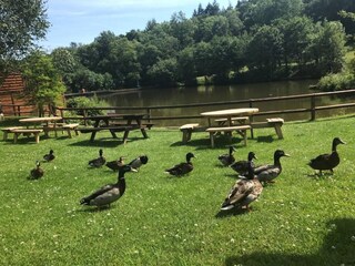 Vakantiehuisje Newton Abbot Omgeving 30