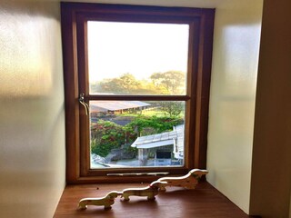 Cottage Newton Abbot Außenaufnahme 1