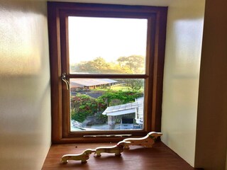 Casa vacanze Newton Abbot Registrazione all'aperto 1