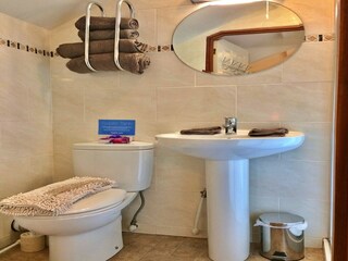 Holiday cottage Newton Abbot Features 6