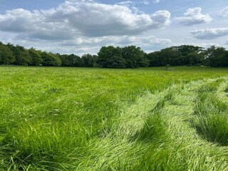 Holiday house Welt Environment 19