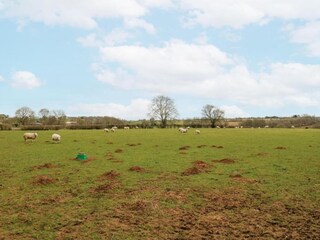 Vakantiehuis Welt Omgeving 11