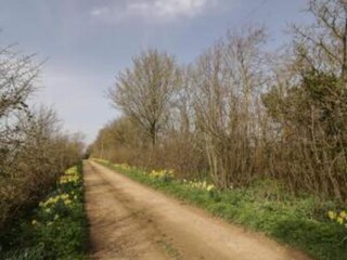 Vakantiehuis Welt Omgeving 17