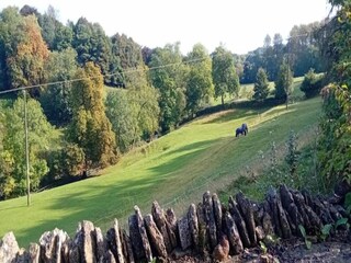 Casa per le vacanze Welt Ambiente 15