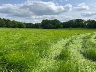 Ferienhaus Welt Umgebung 21