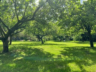 Holiday house Welt Environment 11