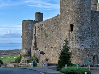 Bungalow Coed Ystumgwern Outdoor Recording 8