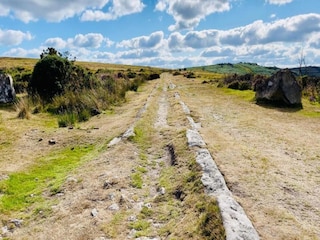 Bungalow Coed Ystumgwern Umgebung 37