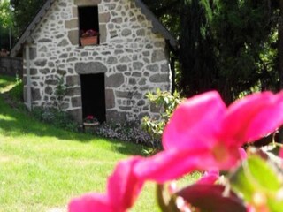 Appartement Montaignac-Saint-Hippolyte  5