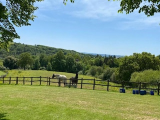 Chalet Crowborough Umgebung 10