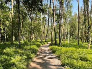 Chalet Crowborough Environnement 12