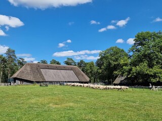Chalet Beekbergen Umgebung 17