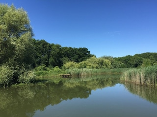 Ferienhaus Templecombe Außenaufnahme 6