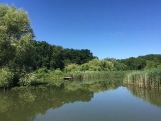 Casa per le vacanze Templecombe Registrazione all'aperto 6