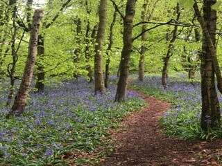 Casa vacanze Welt Ambiente 35