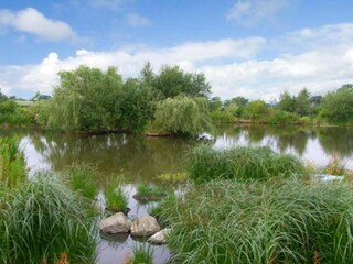 Vakantiehuisje Welt Omgeving 23