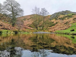 Vakantiehuisje Welt Omgeving 24