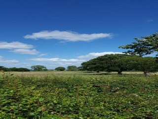 Cottage Welt Umgebung 21