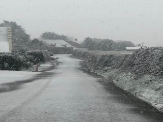 Vakantiehuisje Welt Omgeving 32