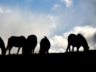 Casa de vacaciones Welt Entorno 34