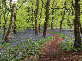 Casa de vacaciones Welt Entorno 27