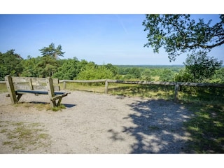 Vakantiepark Markelo Omgeving 16